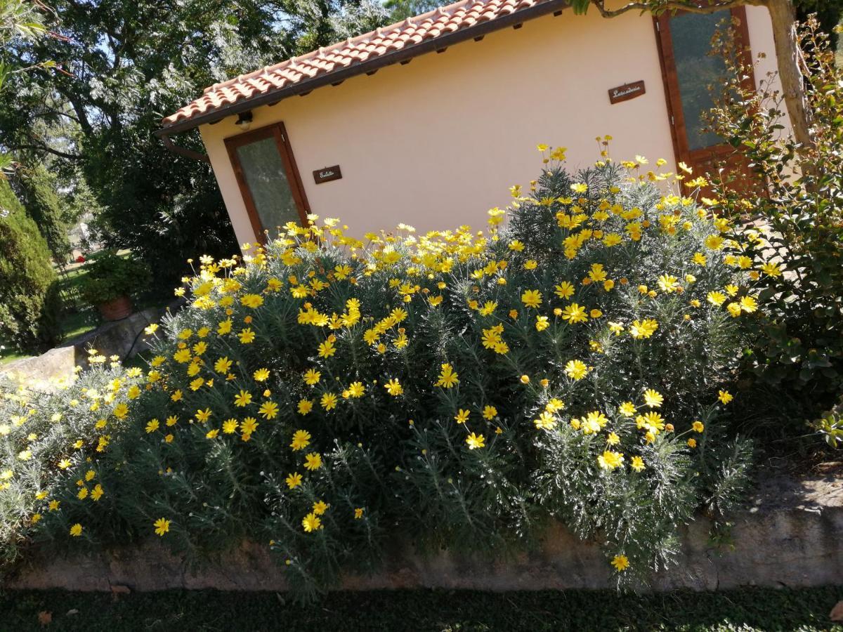 Il Podere Di Sole روكّاسترادا المظهر الخارجي الصورة