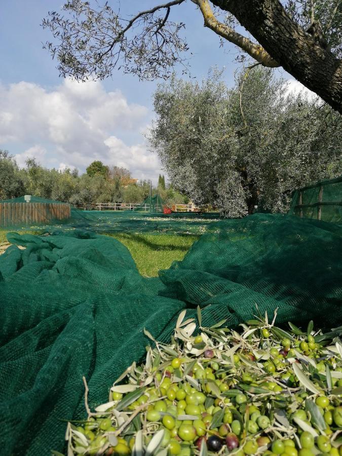 Il Podere Di Sole روكّاسترادا المظهر الخارجي الصورة
