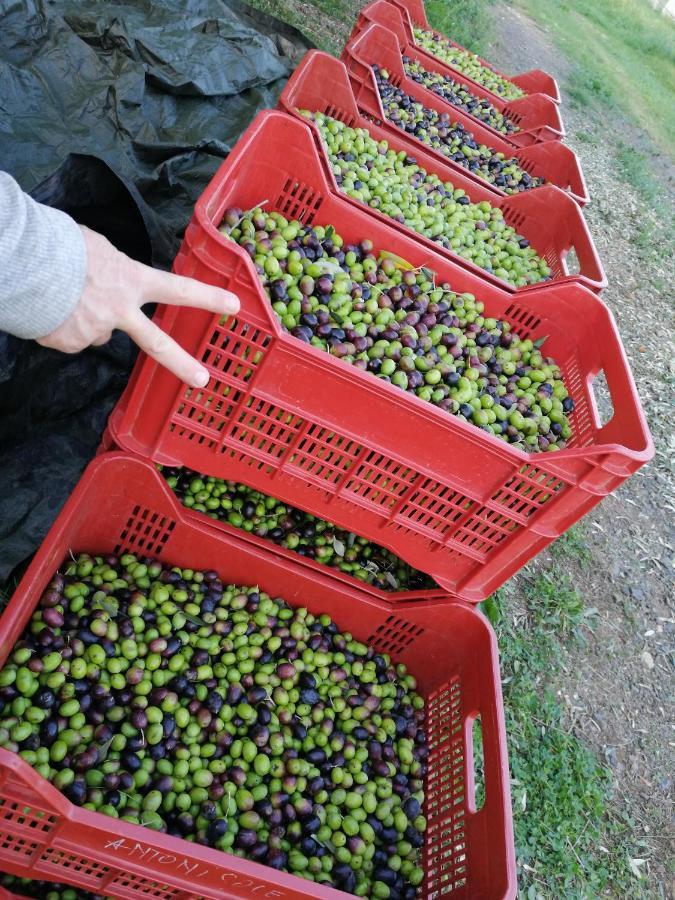 Il Podere Di Sole روكّاسترادا المظهر الخارجي الصورة